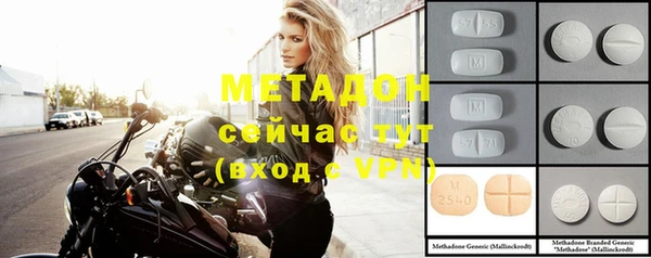прущие грибы Елабуга