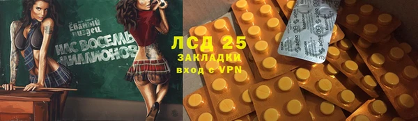 прущие грибы Елабуга