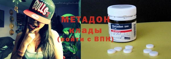 прущие грибы Елабуга