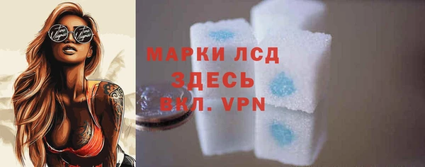 прущие грибы Елабуга