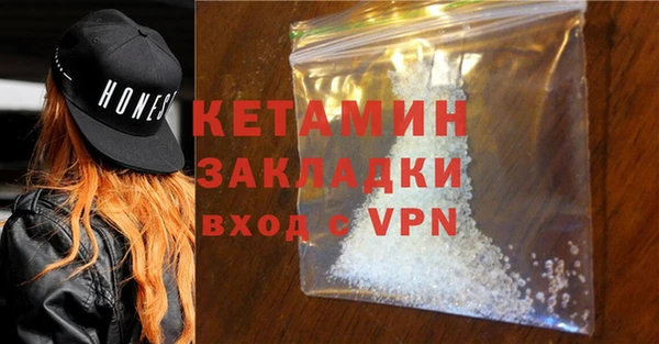 прущие грибы Елабуга