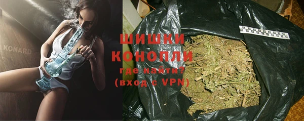 стафф Ладушкин