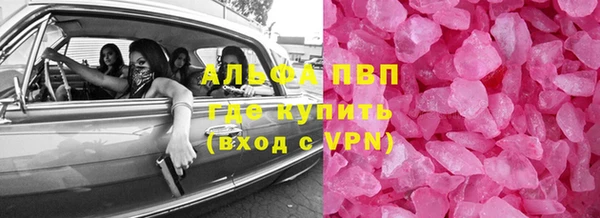 прущие грибы Елабуга