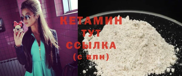 прущие грибы Елабуга