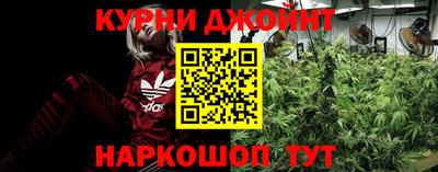крисы Коммунар