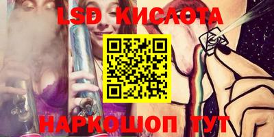 крисы Абакан