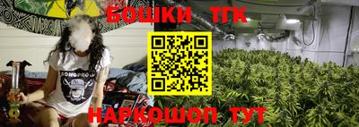 крисы Коммунар