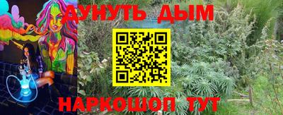 крисы Абакан