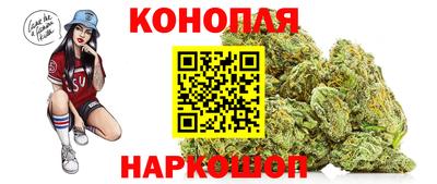крисы Коммунар