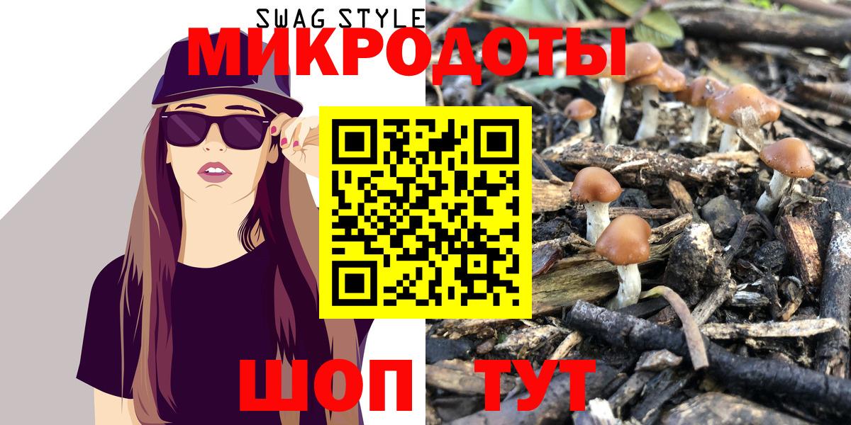 Галлюциногенные грибы MAGIC MUSHROOMS  купить наркотики сайты  Сердобск  Псилоцибиновые грибы Psilocybine cubensis 