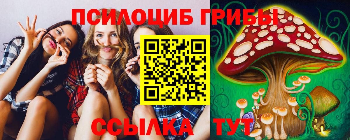 Галлюциногенные грибы Psilocybine cubensis Сердобск