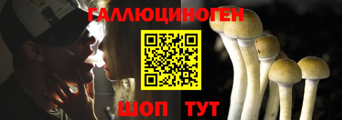 Псилоцибиновые грибы Magic Shrooms Сердобск